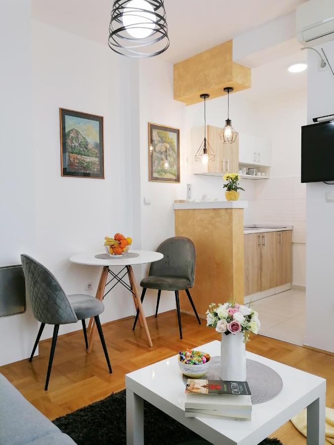 Apartman Mia スレムスカ・ミトロヴィツァ エクステリア 写真