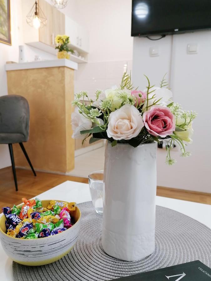Apartman Mia スレムスカ・ミトロヴィツァ エクステリア 写真
